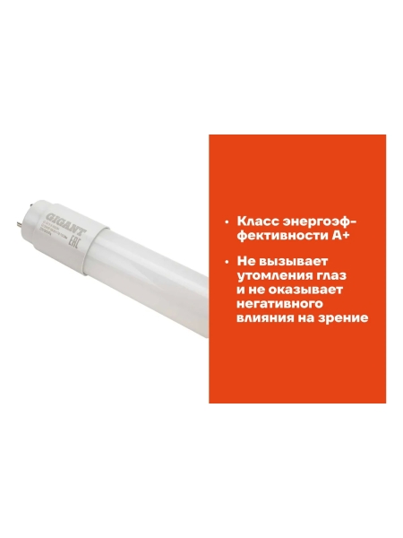 Светодиодная лампа Gigant G13, 9Вт, 6500К, T8, 700Лм, 600 мм G-G13-9-6500K