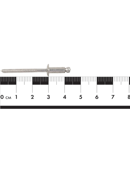 Заклепки вытяжные Gigant нержавеющие А2 4,0x10 100 шт. 123912