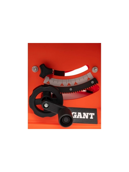 Распиловочный станок со станиной Gigant TSJ-254-2050-S