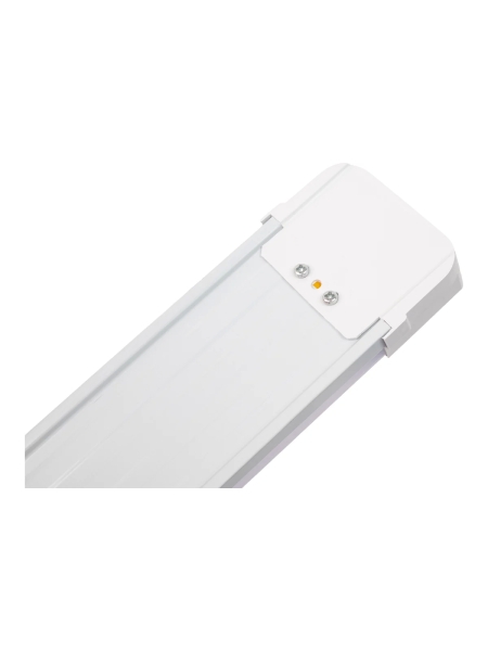 Cветодиодный светильник Gigant 55Вт/1200 мм, матовый 4675Лм 4000К IP40 GL-02-06