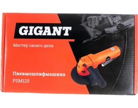 Пневмошлифмашина (диск 125 мм; посадочный 22.2 мм, М10) Gigant PSM125