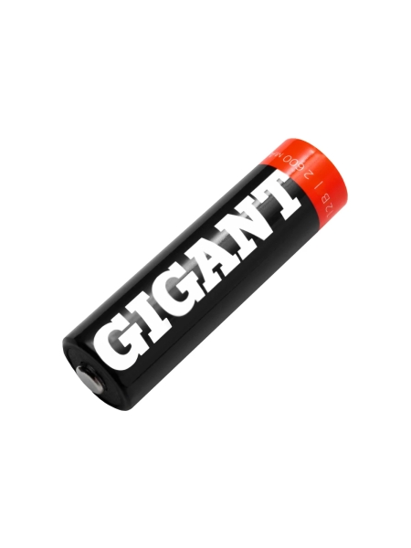 Аккумуляторы Gigant размера АА, емкостью 2600 мАч - 12шт. G-AA2600-12