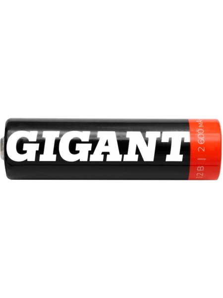 Аккумуляторы Gigant размера АА, емкостью 2600 мАч - 12шт. G-AA2600-12