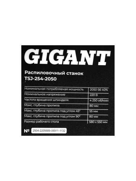 Распиловочный станок Gigant TSJ-254-2050