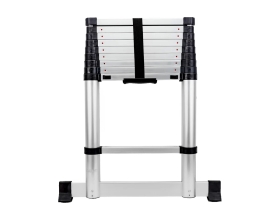 Лестница телескопическая 2.9м Gigant LT-01 1x10