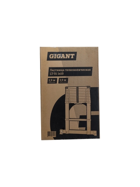 Лестница телескопическая 2.9м Gigant LT-01 1x10
