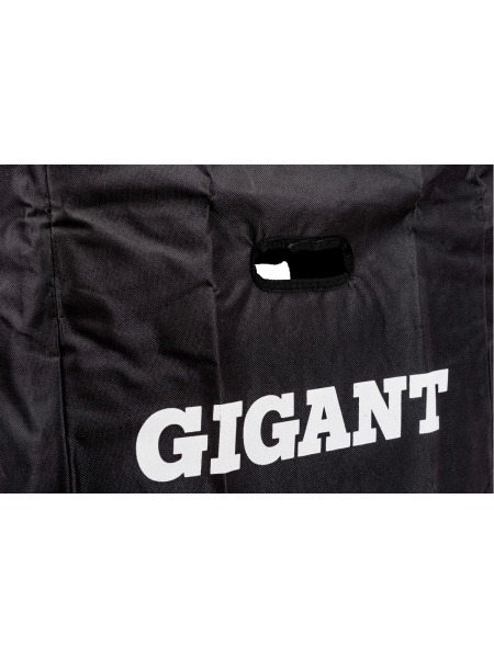 Лестница телескопическая 2.9м Gigant LT-01 1x10