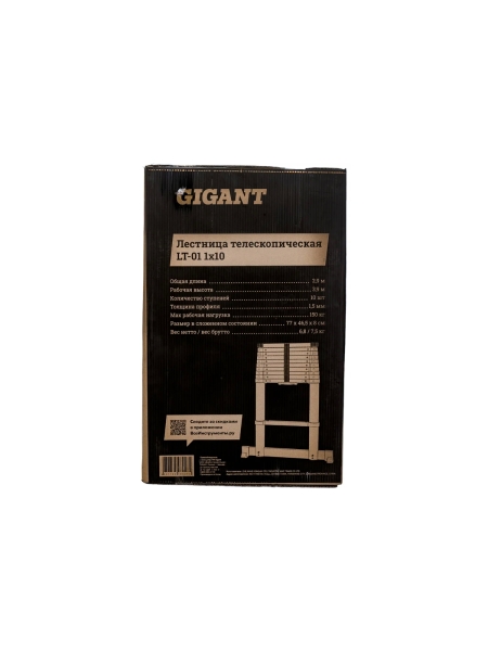 Лестница телескопическая 2.9м Gigant LT-01 1x10