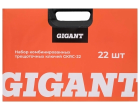 Набор комбинированных трещоточных ключей Gigant в пластиковом кейсе 22 шт GKRC-22