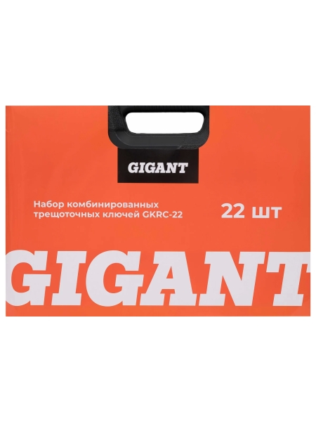 Набор комбинированных трещоточных ключей Gigant в пластиковом кейсе 22 шт GKRC-22