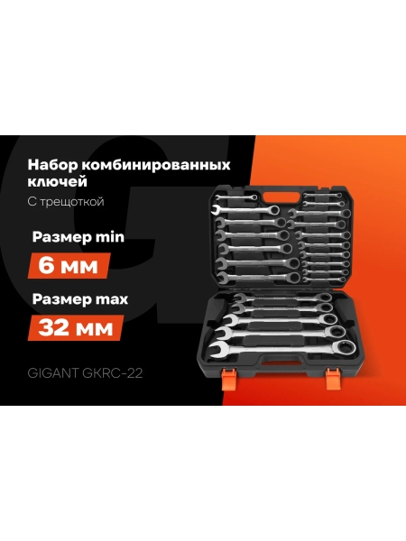 Набор комбинированных трещоточных ключей Gigant в пластиковом кейсе 22 шт GKRC-22
