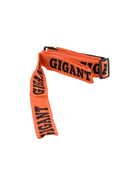 Инверторный сварочный аппарат (160 А; кабель 2.5+1.5 м; ПВ 70%) Gigant GWM-160