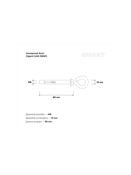 Анкерный болт с кольцом Gigant 10x60 2 шт GAR-1060/2