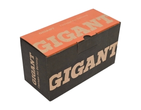 Гвозди по бетону Gigant 3,05x25 мм усиленные оцинк. 1000шт без газового баллона GGN-30525-P