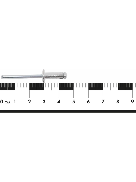Заклепки вытяжные 4,8x12 100 шт. цинк Gigant 123899