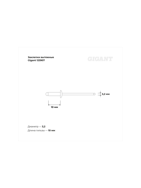 Заклепки вытяжные 3,2x10 100 шт. цинк Gigant 123907