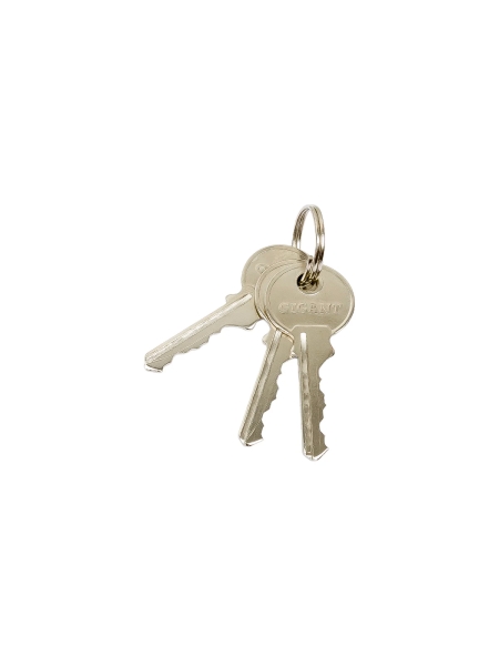 Навесной замок с ключом Gigant d=8 мм GPLK-50