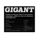 Гвозди по бетону 3,05x17 мм усилен. гальванич. 1000шт без газ.баллона Gigant GGN-30517-PG