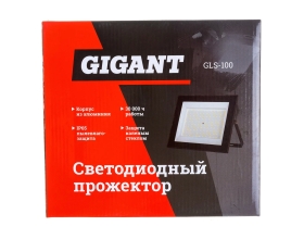 Светодиодный прожектор Gigant 100W 6400К 220V GLS-100