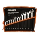 Набор комбинированных ключей 12 шт Gigant, Сталь Cr-V, 6-22мм, GCWS12/1