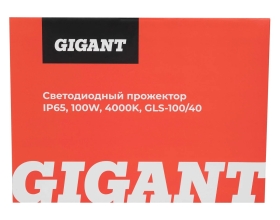 Светодиодный прожектор IP65 100W 4000K Gigant GLS-100/40