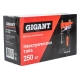 Электрическая таль 125/250кг 12м Gigant TFS-125-12