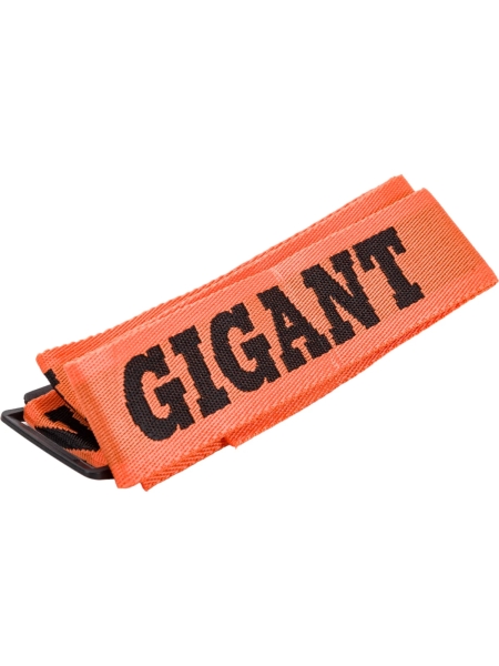 Инверторный сварочный аппарат (250 А; дисплей; кабель 2.5+1.5 м) Gigant GWM-250