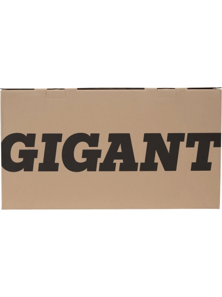 Электрический конвектор 2 кВт Gigant GECS-2 MT