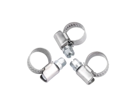 Червячный хомут нерж Gigant 8-12 мм/9 W2, 25 шт G/1/38