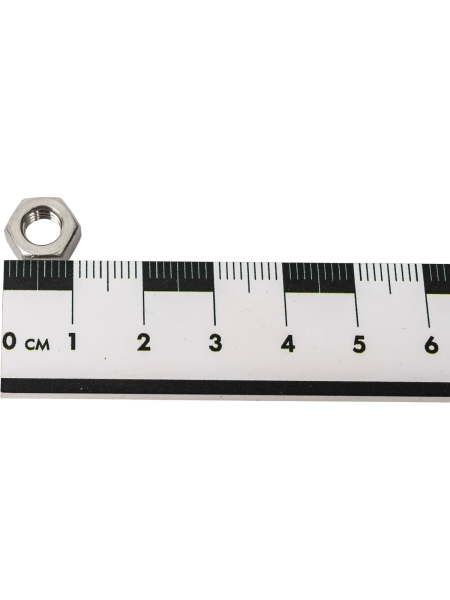 Gigant Гайка DIN934 шестигранная нержавеющая сталь А2 М6 100 шт 124056