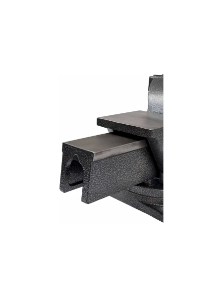 Поворотные слесарные тиски Gigant  G-BV-200