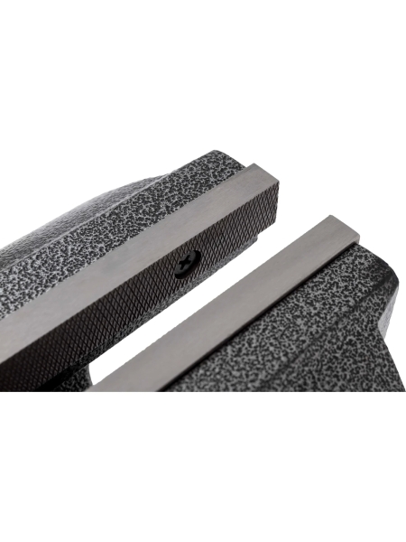 Поворотные слесарные тиски Gigant  G-BV-200