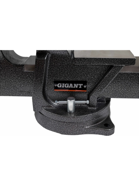 Поворотные слесарные тиски Gigant  G-BV-200
