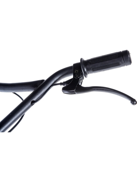 Затирочная машина 6.5л.с. Gigant GT-1000L