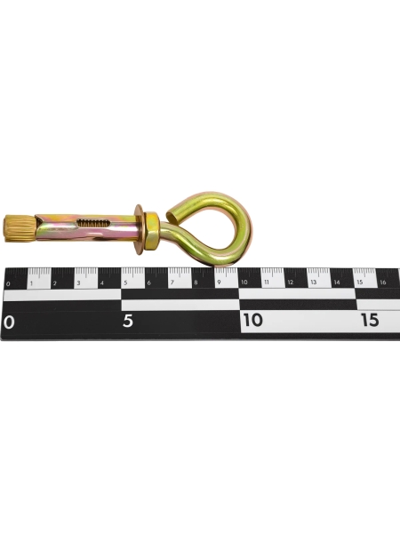 Анкерный болт с кольцом 12x70 1 шт Gigant GAR-1270/1