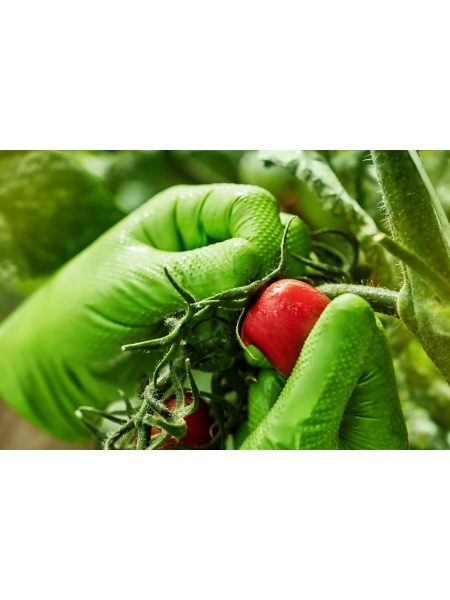 Профессиональные нитриловые перчатки gogrip, зеленые, размер М, 25 пар RP30029003_0001