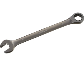 Комбинированный трещоточный ключ 19мм Inforce, Сталь Cr-V, 72 зуба, профессиональный, 06-05-84