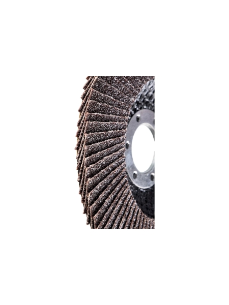 Круг лепестковый (125х22,2 мм; P60) Inforce 11-01-039