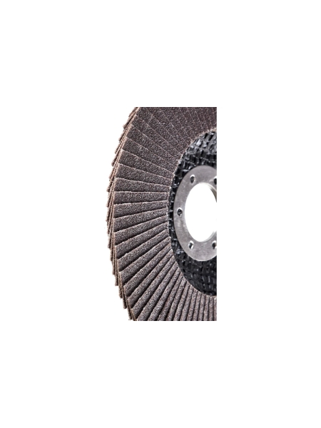 Круг лепестковый (125х22,2 мм; P120) Inforce 11-01-041