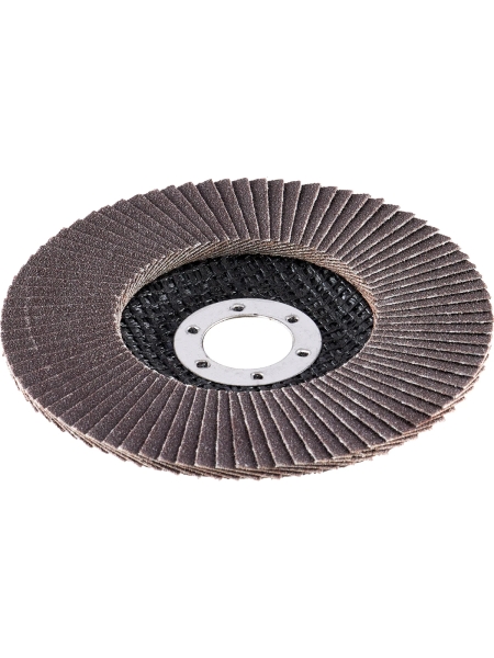 Круг лепестковый (125х22,2 мм; P120) Inforce 11-01-041