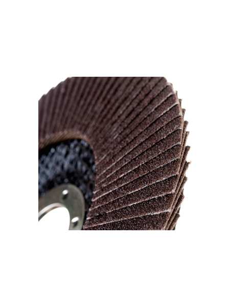 Круг лепестковый (125х22,2 мм; P120) Inforce 11-01-041