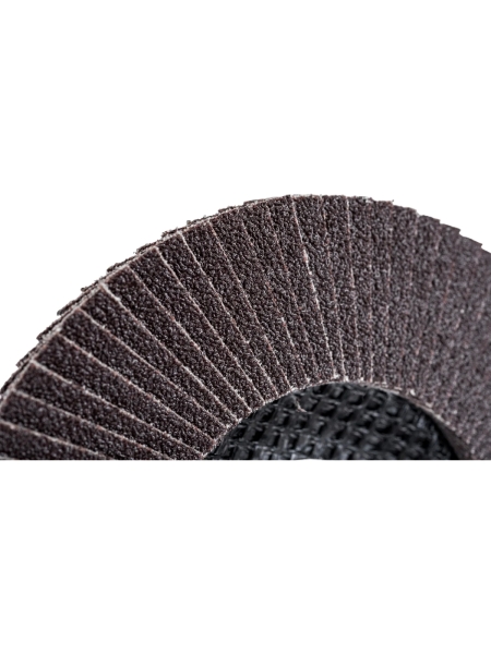 Круг лепестковый (125х22,2 мм; P80) Inforce 11-01-040