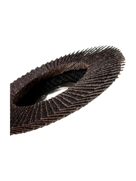 Круг лепестковый (125х22,2 мм; P40) Inforce 11-01-038