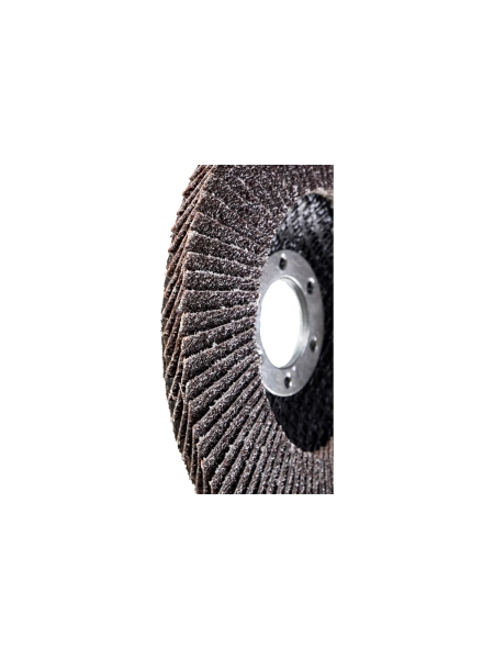 Круг лепестковый (125х22,2 мм; P40) Inforce 11-01-038