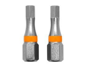 Вставка-бита шестигранная (2 шт; HEX4; 25 мм) Inforce 11-01-373