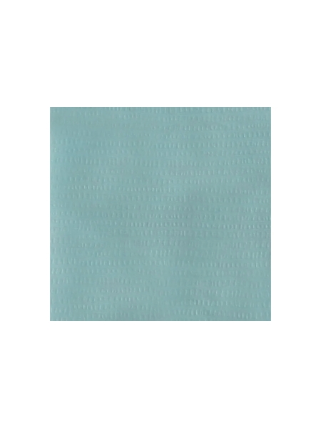 Салфетки нетканные для обезжиривания Jeta PRO 32x42см, бирюзовый, OCEAN /уп. 30 шт./ 5850203