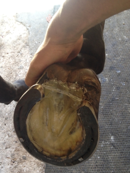 Клей для копыт Equimix HOOF PAD