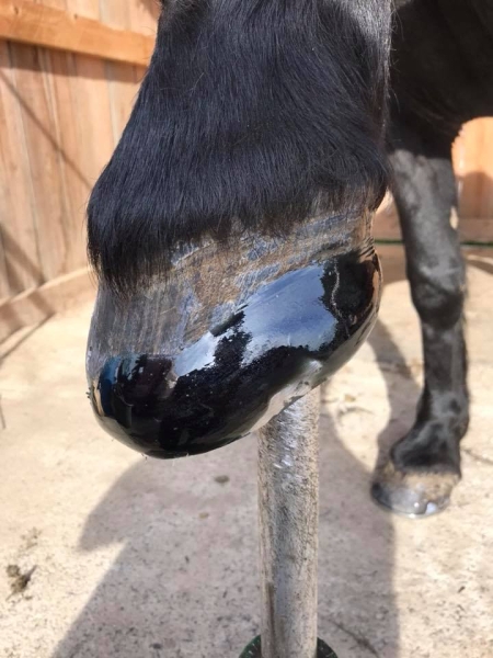 Клей Equimix для копыт HOOF BOND & REPAIR