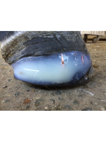 Клей для копыт Equimix Ultra Fast Hoof Bond & Repair