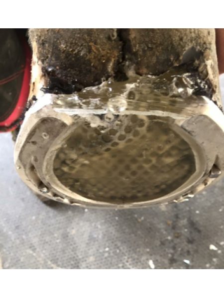 Клей для копыт Equimix PAD ULTRA SOFT